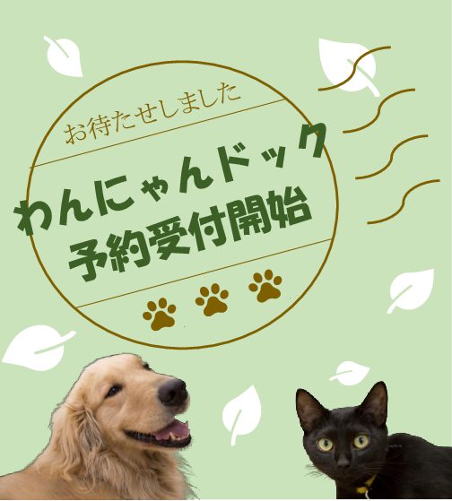 わんにゃんドックについて